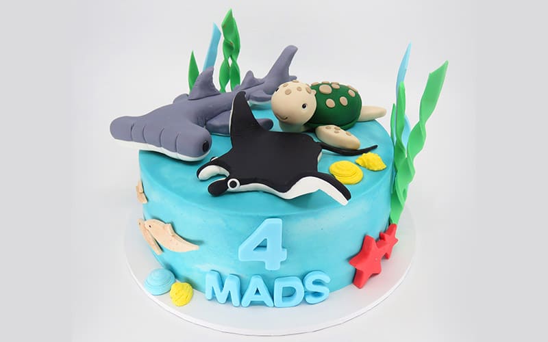 Mads-4-800×200-1