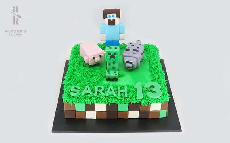 Alyssas-kitchen-Themed-cakes-northern-beaches-cake-15
