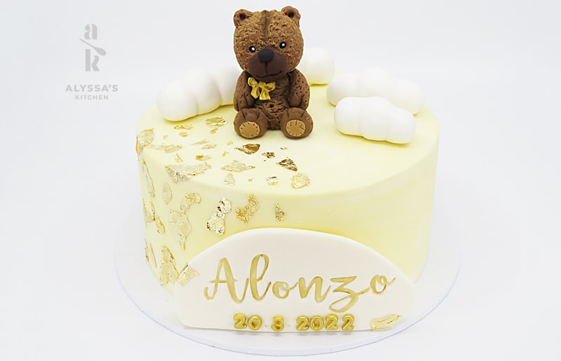 Alonzo 20 3 2022 Teddy Bear